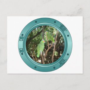 Parrot Porthole Briefkaart