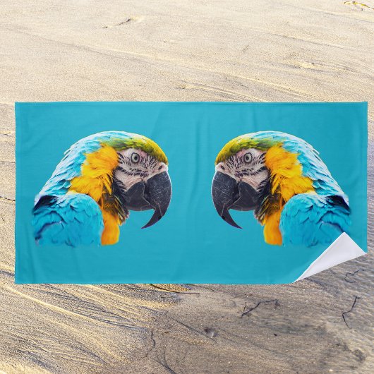 Parrot portrait on a turquoise background strandlaken
