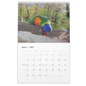 Parrot Portraits Kalender (Mar 2027)
