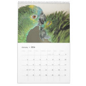 Parrot Portraits Kalender (Jan 2026)