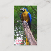 Parrot Pose ~ Visitekaartje (Achterkant)