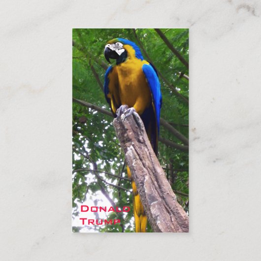Parrot Pose ~ Visitekaartje (Achterkant)