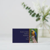Parrot Pose ~ Visitekaartje (Staand voorkant)