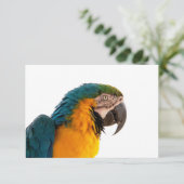 Parrot Post-it Notes Bedankkaart (Staand voorkant)