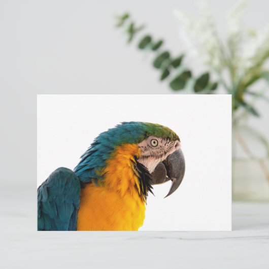 Parrot Post-it Notes Bedankkaart (Staand voorkant)