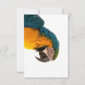 Parrot Post-it Notes Bedankkaart (Achterkant)
