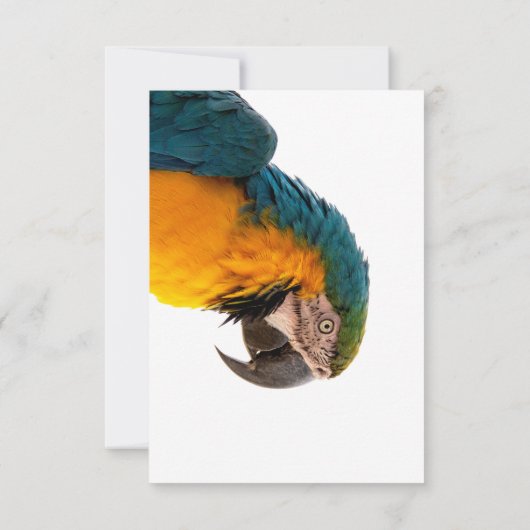 Parrot Post-it Notes Bedankkaart (Achterkant)