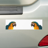 Parrot Post-it Notes Bumpersticker (Op auto)