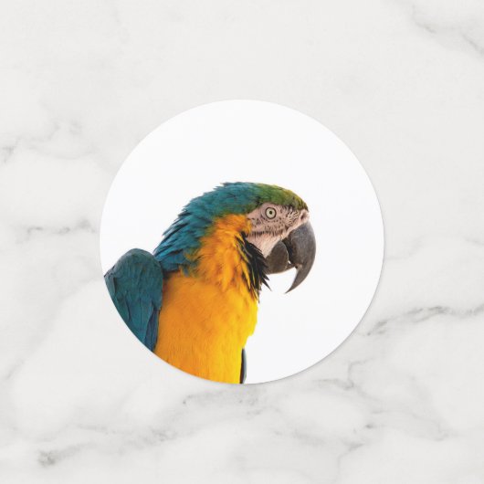 Parrot Post-it Notes Confetti (Kleine voorkant)