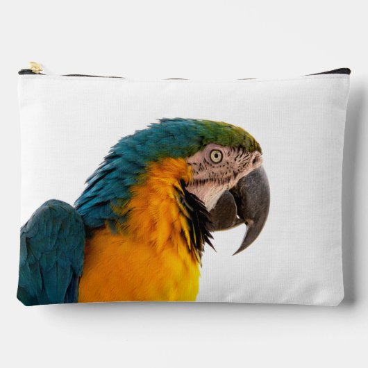 Parrot Post-it Notes Etui (Voorkant)