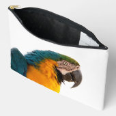 Parrot Post-it Notes Etui (Open)