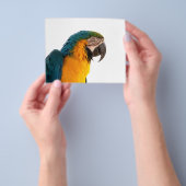 Parrot Post-it Notes Flyer (Hand)
