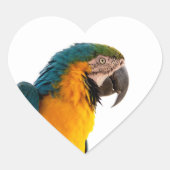 Parrot Post-it Notes Hart Sticker (Voorkant)