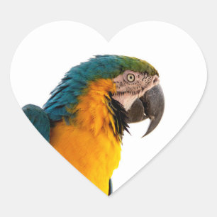 Parrot Post-it Notes Hart Sticker