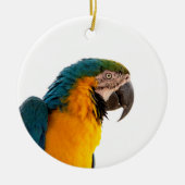 Parrot Post-it Notes Keramisch Ornament (Voorkant)