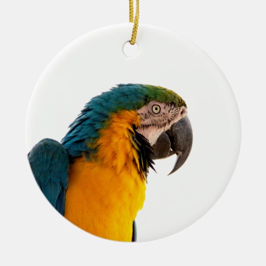 Parrot Post-it Notes Keramisch Ornament (Voorkant)