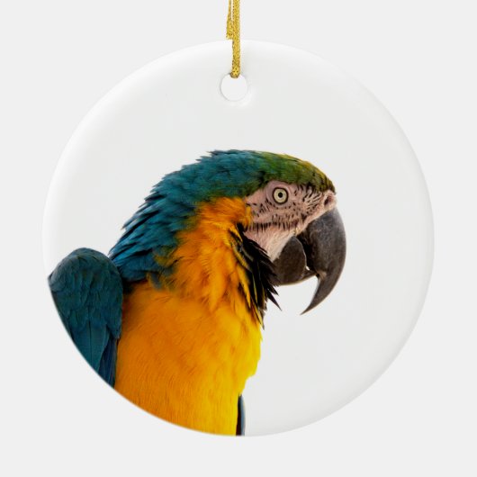 Parrot Post-it Notes Keramisch Ornament (Achterkant)