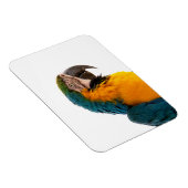 Parrot Post-it Notes Magneet (Rechterzijde)