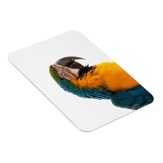 Parrot Post-it Notes Magneet (Rechterzijde)