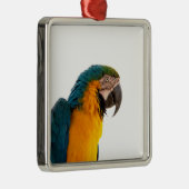 Parrot Post-it Notes Metalen Ornament (Rechts)