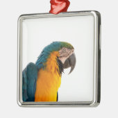 Parrot Post-it Notes Metalen Ornament (Links)