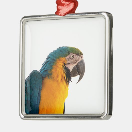 Parrot Post-it Notes Metalen Ornament (Links)