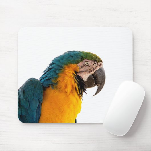 Parrot Post-it Notes Muismat (Met muis)