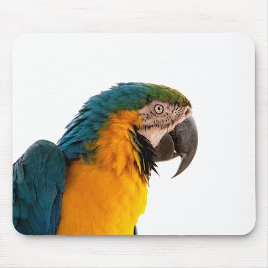 Parrot Post-it Notes Muismat (Voorkant)