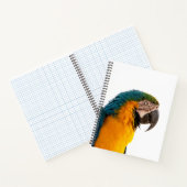 Parrot Post-it Notes Notitieboek (Binnen)