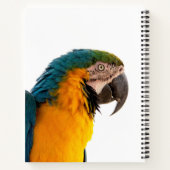 Parrot Post-it Notes Notitieboek (Achterkant)