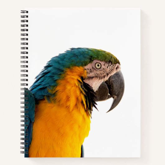 Parrot Post-it Notes Notitieboek (Voorkant)