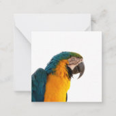 Parrot Post-it Notes Notitiekaartje (Voorkant)