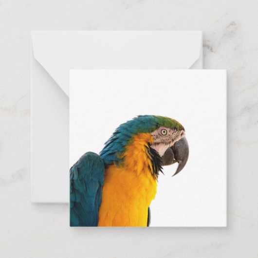 Parrot Post-it Notes Notitiekaartje (Voorkant)