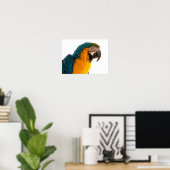 Parrot Post-it Notes Poster (Thuiskantoor)