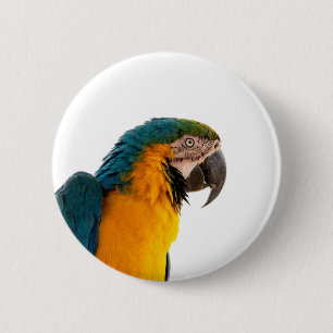 Parrot Post-it Notes Ronde Button 5,7 Cm
