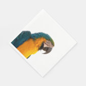 Parrot Post-it Notes Servet (Hoek)