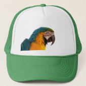 Parrot Post-it Notes Trucker Pet (Voorkant)