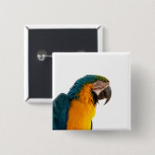 Parrot Post-it Notes Vierkante Button 5,1 Cm (Voorkant /achterkant)