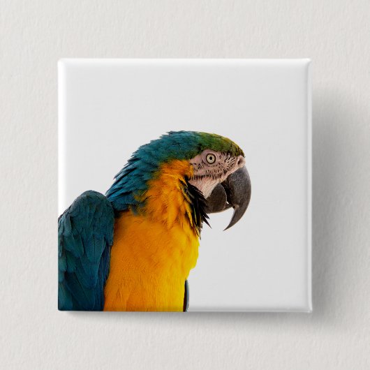 Parrot Post-it Notes Vierkante Button 5,1 Cm (Voorkant)