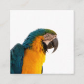 Parrot Post-it Notes Vierkante Visitekaartje (Voorkant)