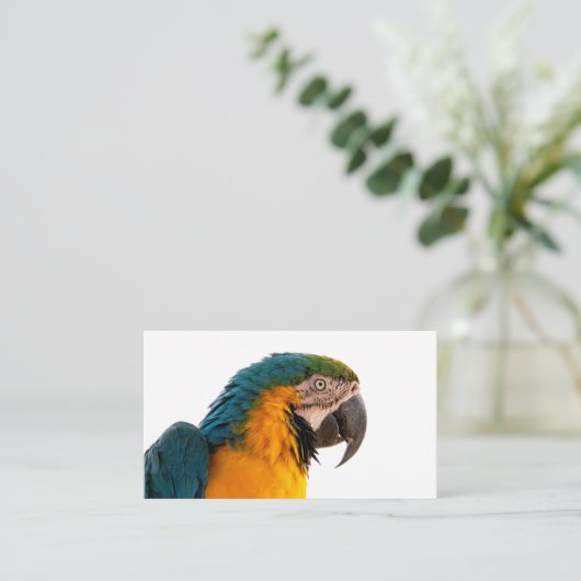 Parrot Post-it Notes Visitekaartje (Staand voorkant)