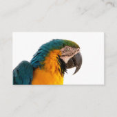 Parrot Post-it Notes Visitekaartje (Voorkant)