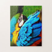 Parrot Puzzle Legpuzzel (Verticaal)
