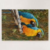 Parrot Puzzle Legpuzzel (Horizontaal)