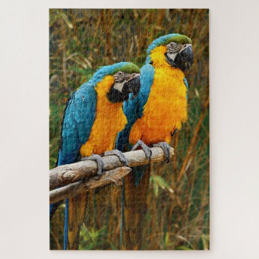 Parrot Puzzle Legpuzzel (Verticaal)