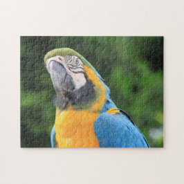 Parrot Puzzle Legpuzzel