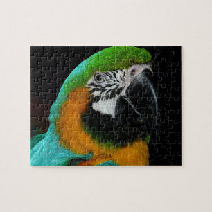 Parrot Puzzle Legpuzzel