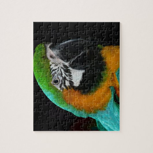 Parrot Puzzle Legpuzzel (Verticaal)