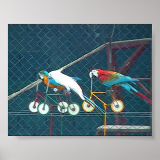 Parrot Race, Thailand Poster