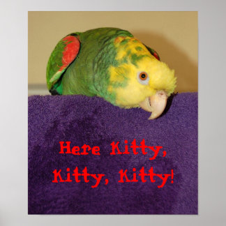 Parrot roept kat. poster